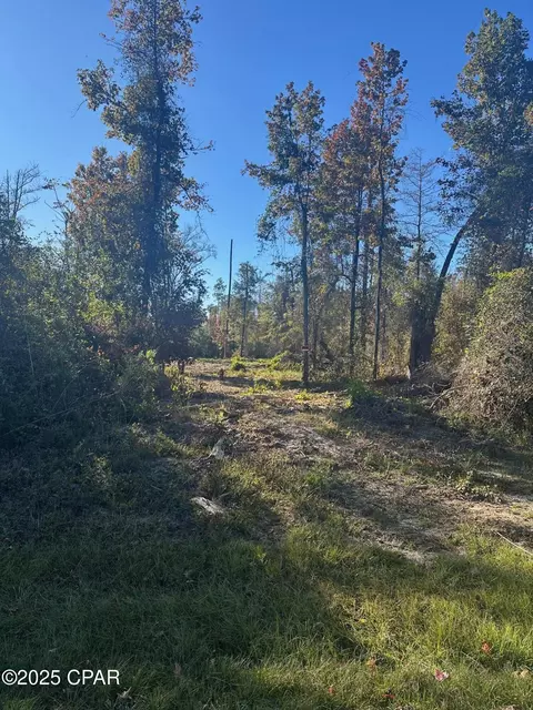 0 Parramore Rd, Sneads, FL 32460 photo 15