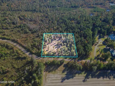 0 Parramore Rd, Sneads, FL 32460 photo 4