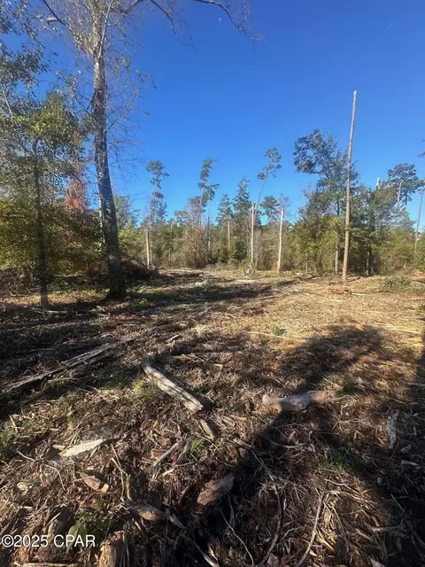 0 Parramore Rd, Sneads, FL 32460 photo 11
