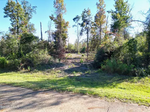 0 Parramore Rd, Sneads, FL 32460 photo 10