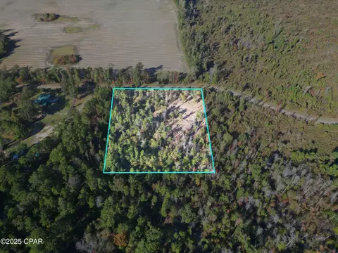 0 Parramore Rd, Sneads, FL 32460 photo 3