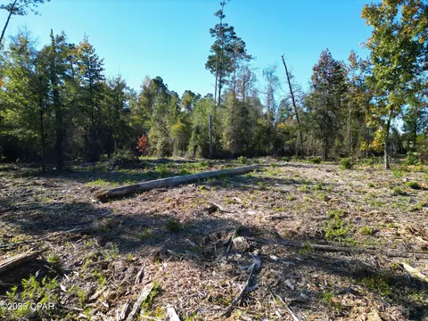 0 Parramore Rd, Sneads, FL 32460 photo 8
