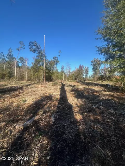 0 Parramore Rd, Sneads, FL 32460 photo 12