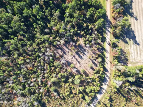 0 Parramore Rd, Sneads, FL 32460 photo 9