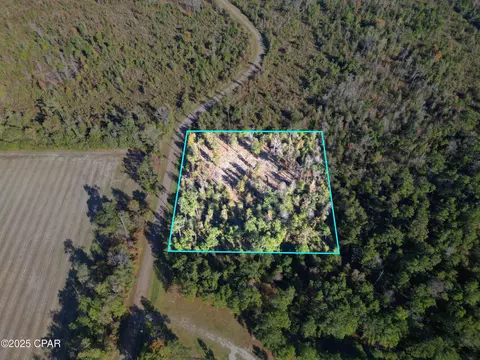 0 Parramore Rd, Sneads, FL 32460 photo 5