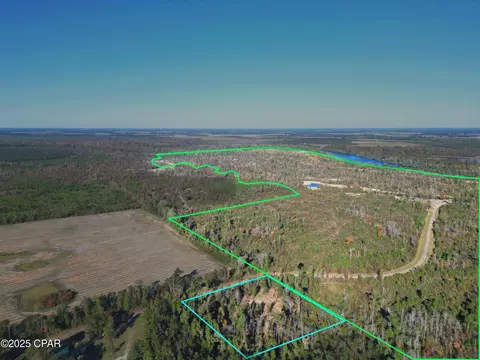0 Parramore Rd, Sneads, FL 32460 photo 2