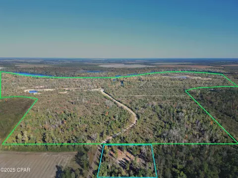 0 Parramore Rd, Sneads, FL 32460