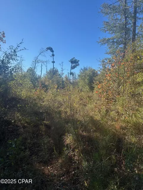 0 Parramore Rd, Sneads, FL 32460 photo 14
