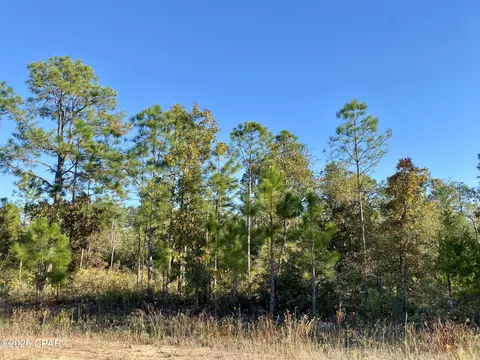 lot128 Nezperce Dr, Alford, FL 32420
