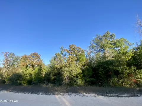 lot34 Anderson Dr, Alford, FL 32420