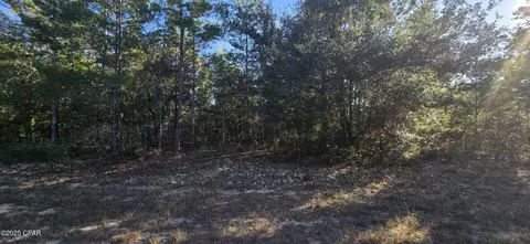 000 Warwick Dr, Chipley, FL 32428 photo 6