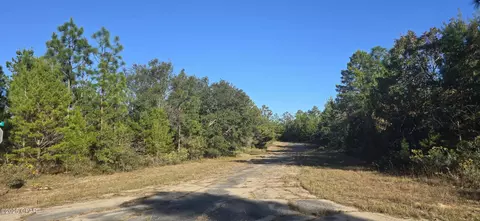 000 Warwick Dr, Chipley, FL 32428 photo 3