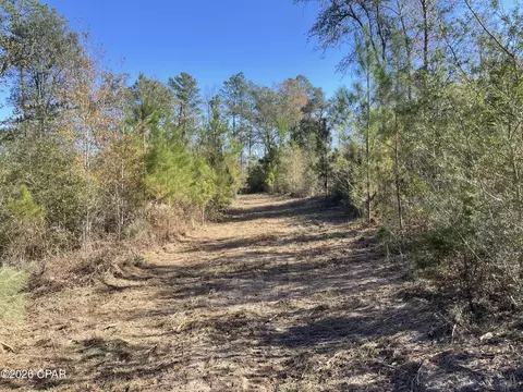 0000 Arrant Rd, Westville, FL 32464