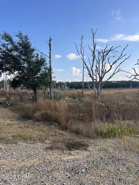 2191 Rolling Pines Rd, Chipley, FL 32428 photo 1