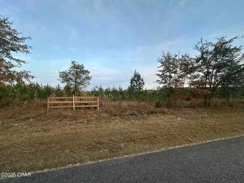 000 Bright Prospect Rd, Marianna, FL 32448