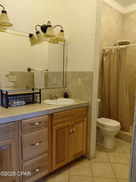 Bath - 4686 Dunaway Rd, Bascom, FL 32423 photo 4 of 5
