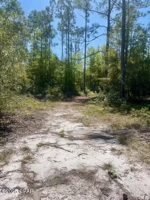 tbd Akers Trl, Chipley, FL 32428 photo 6