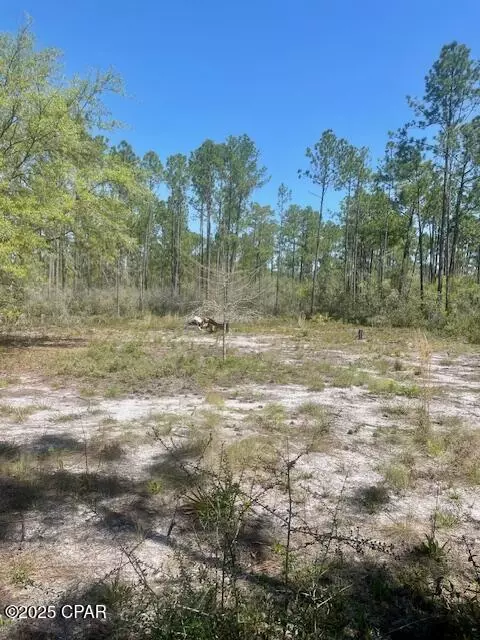 tbd Akers Trl, Chipley, FL 32428 photo 9
