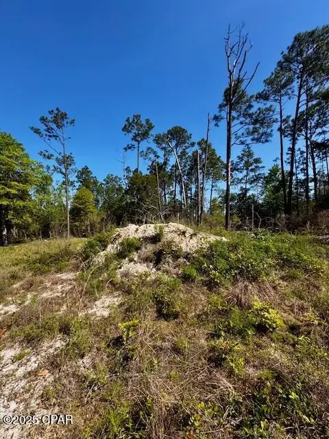 tbd Akers Trl, Chipley, FL 32428 photo 3