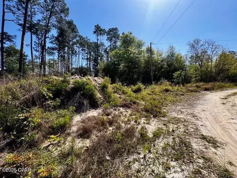 tbd Akers Trl, Chipley, FL 32428 photo 10