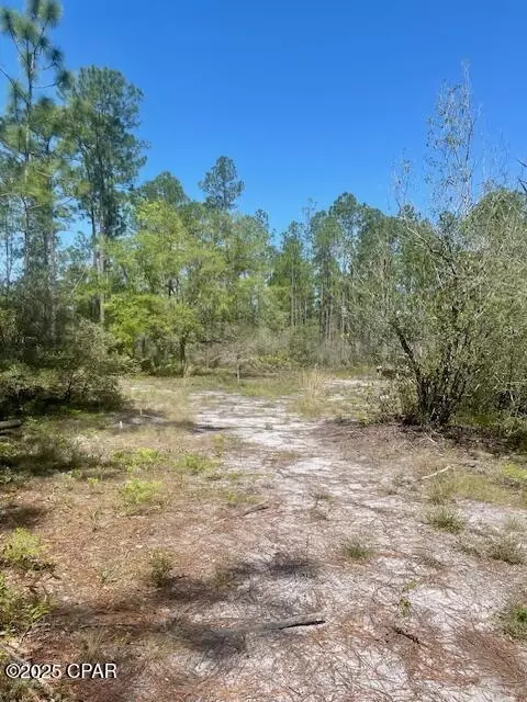 tbd Akers Trl, Chipley, FL 32428 photo 7