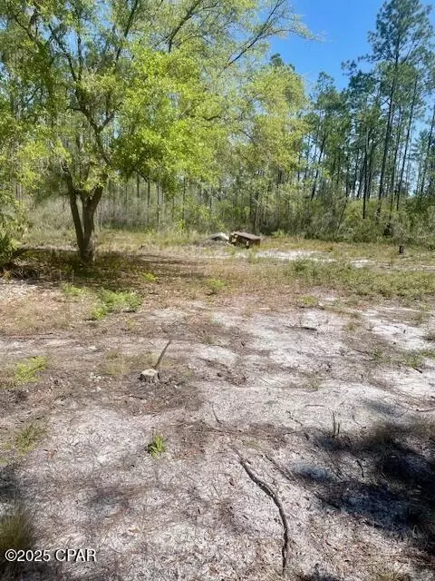 tbd Akers Trl, Chipley, FL 32428 photo 8