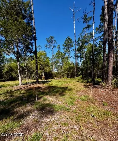 tbd Akers Trl, Chipley, FL 32428 photo 4