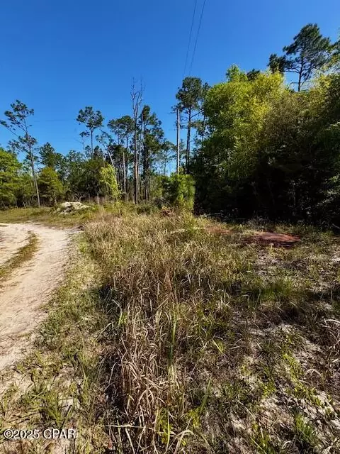 tbd Akers Trl, Chipley, FL 32428 photo 2
