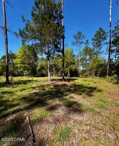 tbd Akers Trl, Chipley, FL 32428 photo 5
