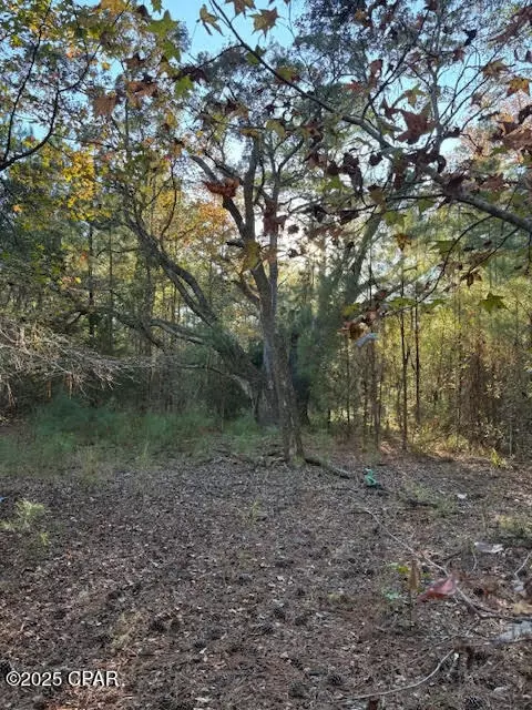 3389 Gainer Rd, Chipley, FL 32428