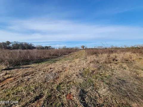 tbd Gainer Cemetery Rd, Graceville, FL 32440