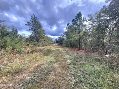 00 Sandridge Church Rd, Grand Ridge, FL 32442