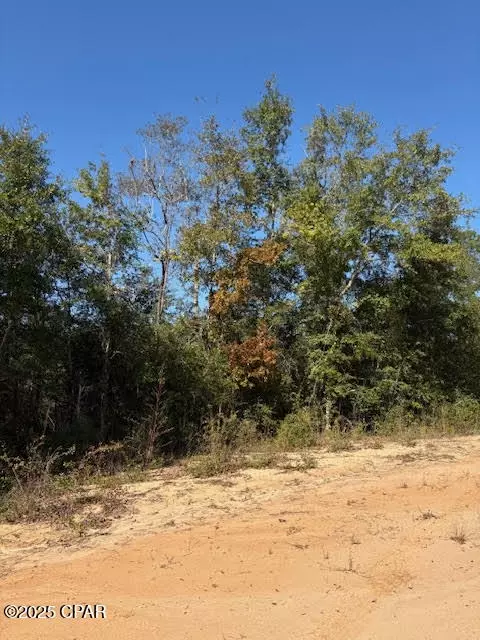 0 Southern Blvd #LOT 27, Alford, FL 32420