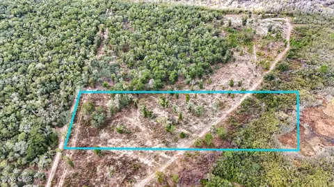 - Pine Log Road, Chipley, FL 32428 photo 2