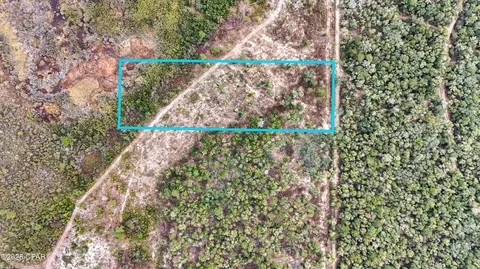 - Pine Log Road, Chipley, FL 32428 photo 6