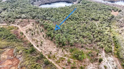 - Pine Log Road, Chipley, FL 32428 photo 8