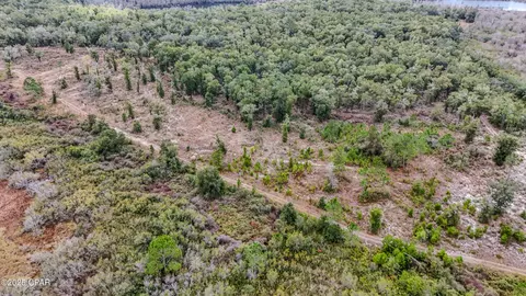- Pine Log Road, Chipley, FL 32428 photo 3