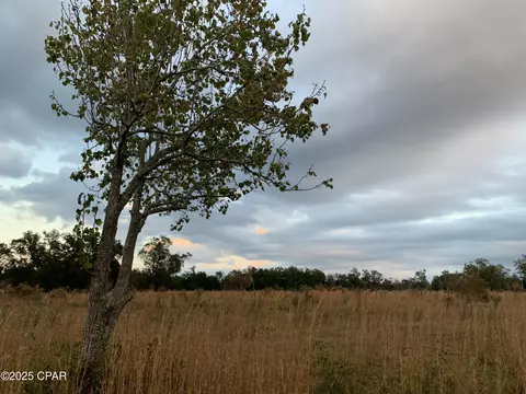 7010 Nobles Rd, Grand Ridge, FL 32442