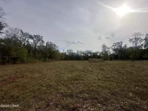 2194 Mohawk Trl, Sneads, FL 32460 photo 7