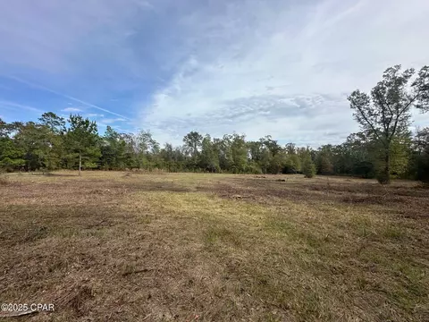 2194 Mohawk Trl, Sneads, FL 32460