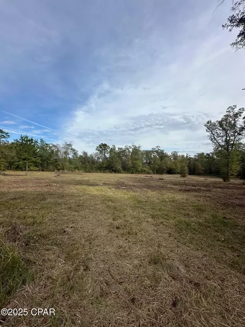 2194 Mohawk Trl, Sneads, FL 32460 photo 4