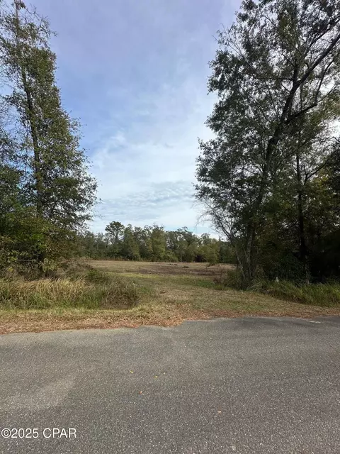2194 Mohawk Trl, Sneads, FL 32460 photo 2