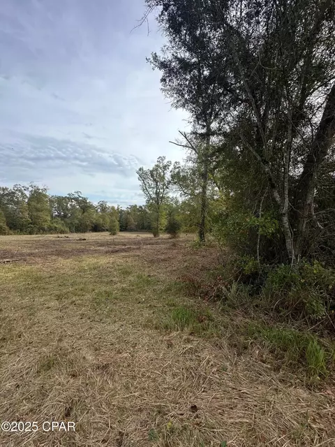 2194 Mohawk Trl, Sneads, FL 32460 photo 5