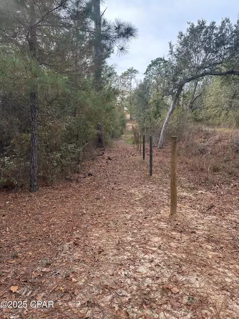 2194 Mohawk Trl, Sneads, FL 32460 photo 8