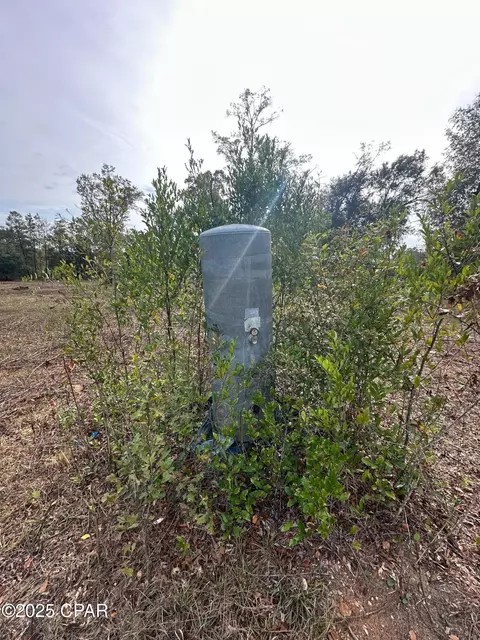 2194 Mohawk Trl, Sneads, FL 32460 photo 3