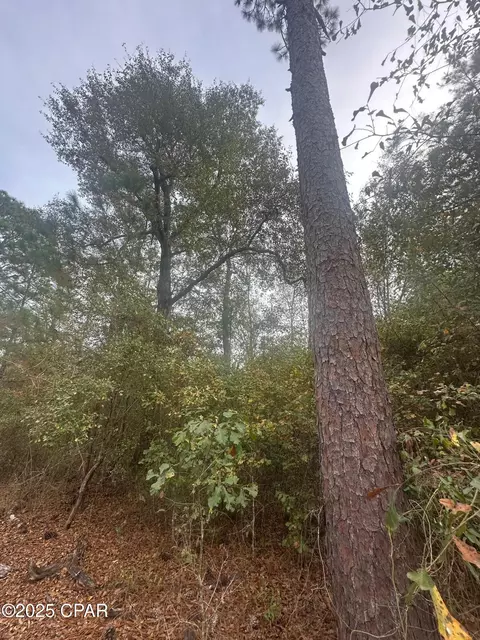 2194 Mohawk Trl, Sneads, FL 32460 photo 11