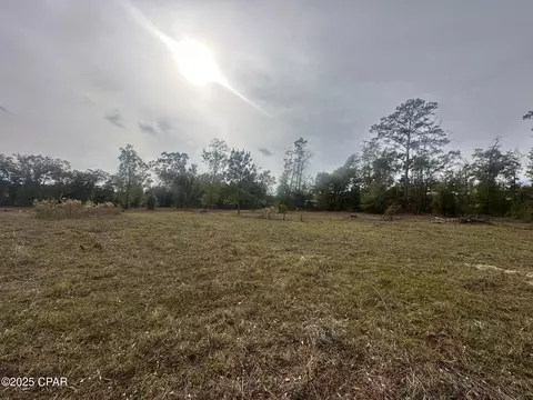 2194 Mohawk Trl, Sneads, FL 32460 photo 6