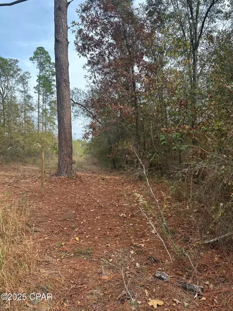 2194 Mohawk Trl, Sneads, FL 32460 photo 9