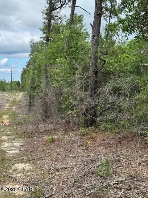 tbd Pilgrim Rest Church Rd, Marianna, FL 32448