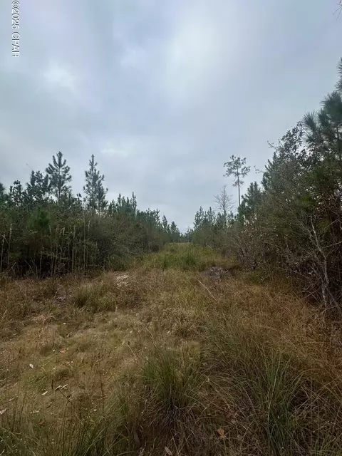 00 Fl-71, Blountstown, FL 32424